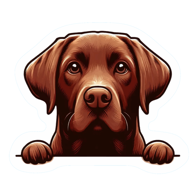 Dog1 - Labrador Retriever 1 - Cutline - Louise