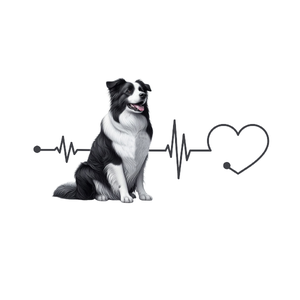 Border Collie Premium Dog Sticker