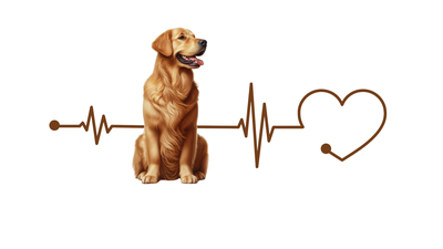 Golden Retriever Premium Dog Sticker