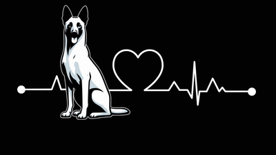 Belgian Malinois Premium Dog Sticker