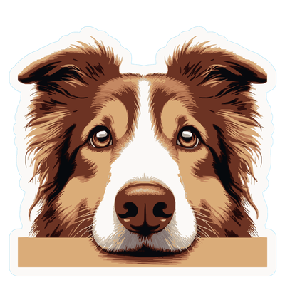 Australian Shepherd Premium Dog Sticker