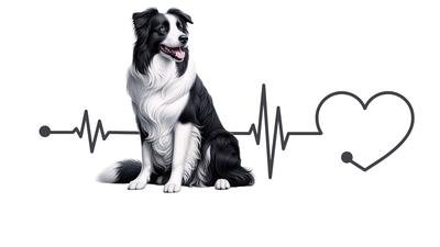 Border Collie Premium Dog Sticker