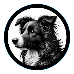 Border Collie Premium Dog Sticker