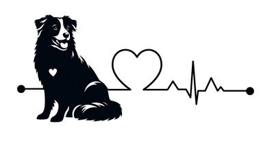 Border Collie Premium Dog Sticker