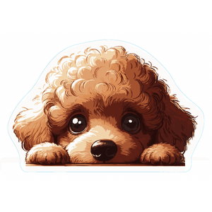 Poodle Premium Dog Sticker