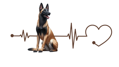Belgian Malinois Premium Dog Sticker