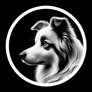 Border Collie Premium Dog Sticker