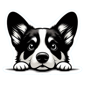 Border Collie Premium Dog Sticker