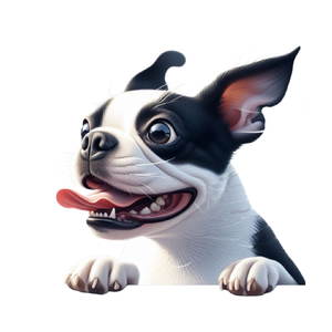 Boston Terrier Premium Dog Sticker