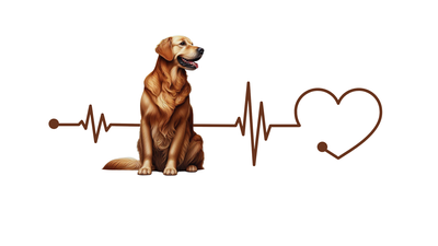 Golden Retriever Premium Dog Sticker