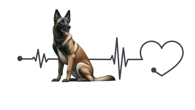 Belgian Malinois Premium Dog Sticker
